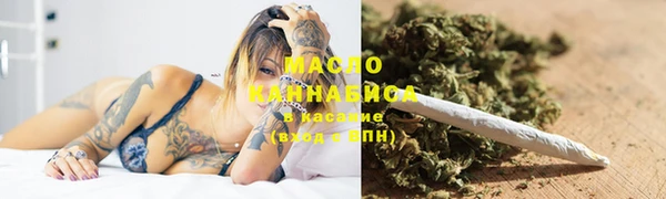 тгк Вяземский