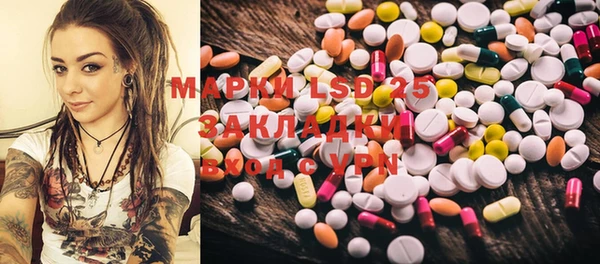 ГАЛЛЮЦИНОГЕННЫЕ ГРИБЫ Вязники