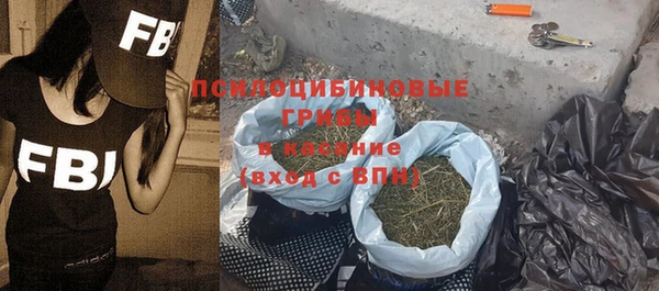ГАЛЛЮЦИНОГЕННЫЕ ГРИБЫ Вязники