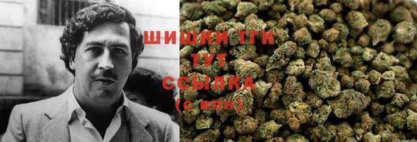 тгк Вяземский