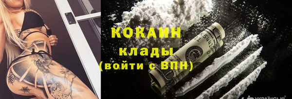 тгк Вяземский