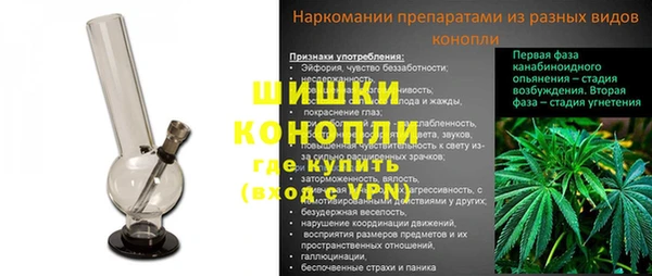 тгк Вяземский