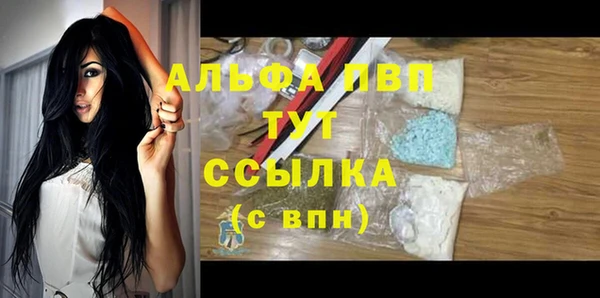 ГАЛЛЮЦИНОГЕННЫЕ ГРИБЫ Вязники